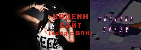 дурь Каменка