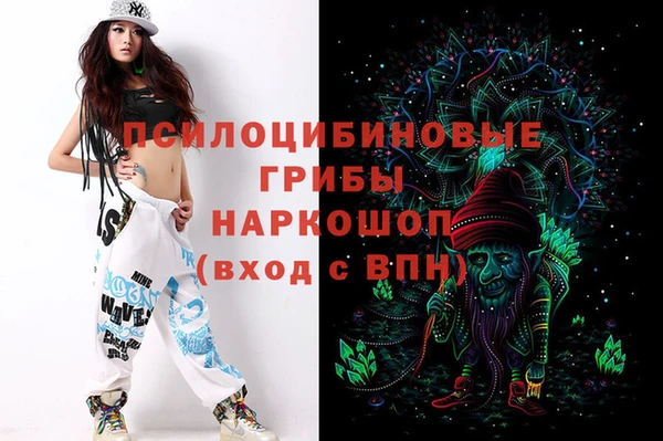 герыч Каменногорск